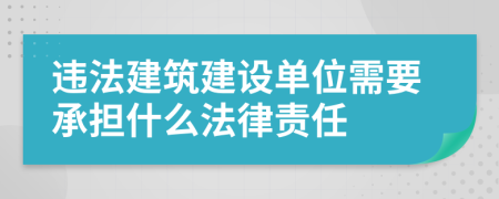 违法建筑建设单位需要承担什么法律责任