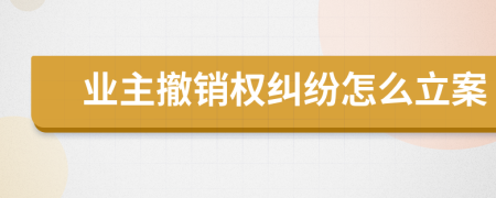 业主撤销权纠纷怎么立案