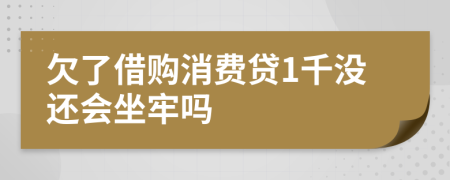 欠了借购消费贷1千没还会坐牢吗