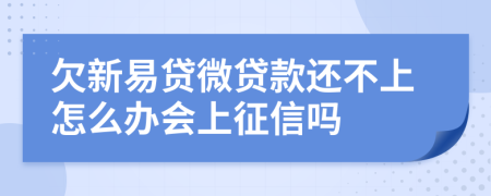 欠新易贷微贷款还不上怎么办会上征信吗