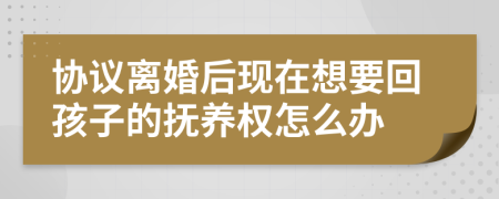 协议离婚后现在想要回孩子的抚养权怎么办