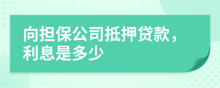 向担保公司抵押贷款，利息是多少