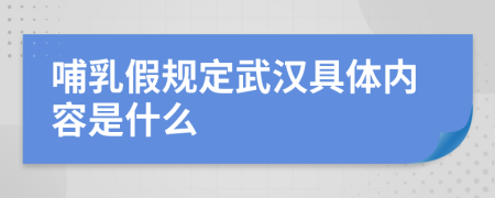 哺乳假规定武汉具体内容是什么