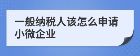 一般纳税人该怎么申请小微企业