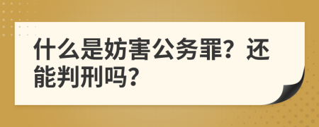 什么是妨害公务罪？还能判刑吗？