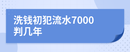 洗钱初犯流水7000判几年