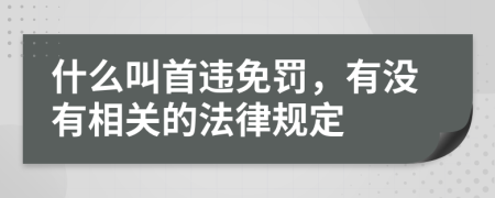 什么叫首违免罚，有没有相关的法律规定