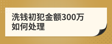 洗钱初犯金额300万如何处理