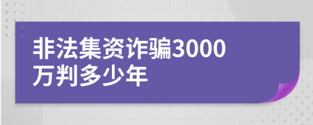 非法集资诈骗3000万判多少年