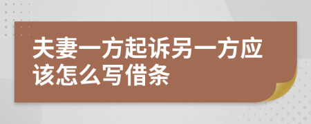 夫妻一方起诉另一方应该怎么写借条