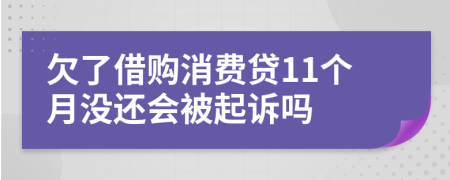 欠了借购消费贷11个月没还会被起诉吗