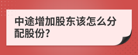 中途增加股东该怎么分配股份?