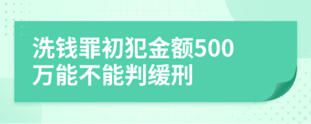 洗钱罪初犯金额500万能不能判缓刑