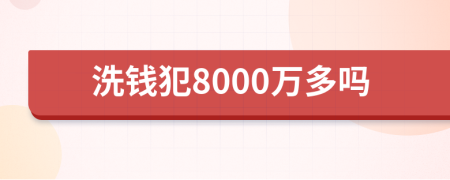 洗钱犯8000万多吗