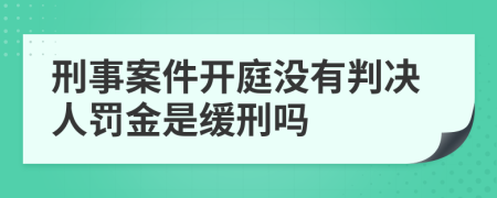 刑事案件开庭没有判决人罚金是缓刑吗