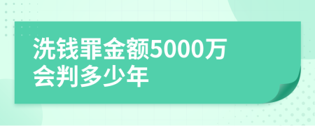 洗钱罪金额5000万会判多少年