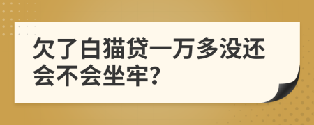 欠了白猫贷一万多没还会不会坐牢？