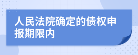 人民法院确定的债权申报期限内