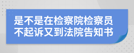 是不是在检察院检察员不起诉又到法院告知书