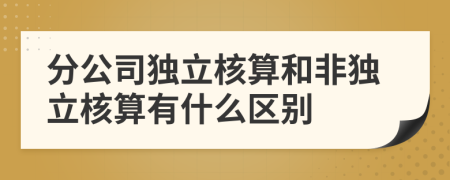 分公司独立核算和非独立核算有什么区别