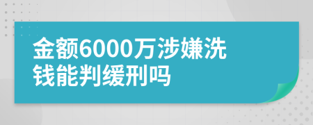 金额6000万涉嫌洗钱能判缓刑吗