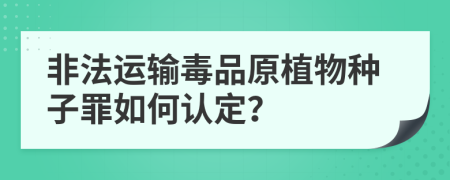 非法运输毒品原植物种子罪如何认定？