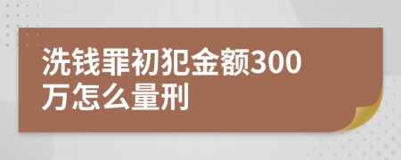 洗钱罪初犯金额300万怎么量刑