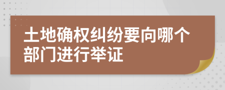 土地确权纠纷要向哪个部门进行举证