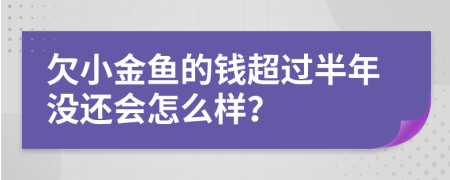 欠小金鱼的钱超过半年没还会怎么样？