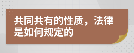 共同共有的性质，法律是如何规定的