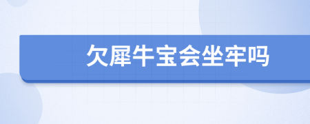 欠犀牛宝会坐牢吗