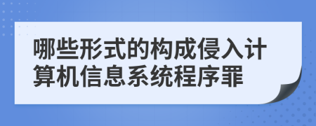 哪些形式的构成侵入计算机信息系统程序罪