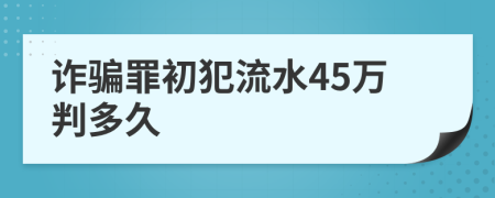 诈骗罪初犯流水45万判多久