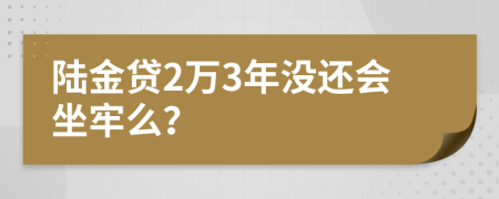 陆金贷2万3年没还会坐牢么？