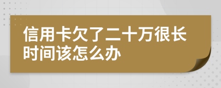 信用卡欠了二十万很长时间该怎么办