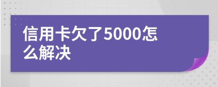 信用卡欠了5000怎么解决