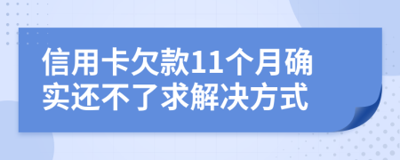 信用卡欠款11个月确实还不了求解决方式