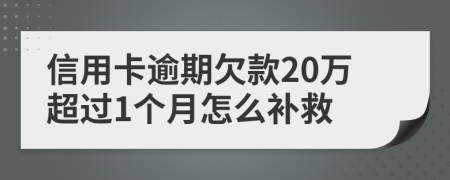 信用卡逾期欠款20万超过1个月怎么补救