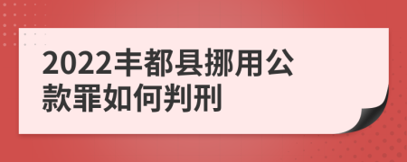 2022丰都县挪用公款罪如何判刑