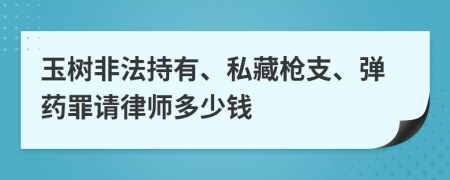 玉树非法持有、私藏枪支、弹药罪请律师多少钱