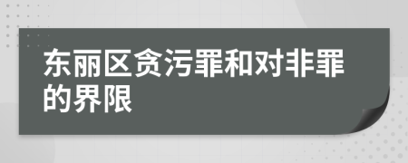 东丽区贪污罪和对非罪的界限