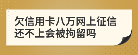 欠信用卡八万网上征信还不上会被拘留吗