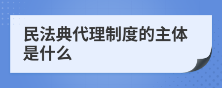 民法典代理制度的主体是什么