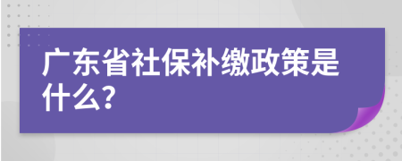 广东省社保补缴政策是什么？
