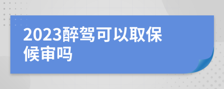 2023醉驾可以取保候审吗