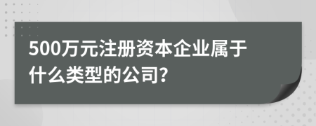 500万元注册资本企业属于什么类型的公司？