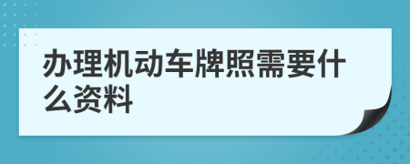 办理机动车牌照需要什么资料