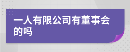 一人有限公司有董事会的吗