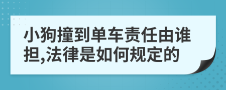 小狗撞到单车责任由谁担,法律是如何规定的