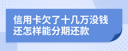 信用卡欠了十几万没钱还怎样能分期还款